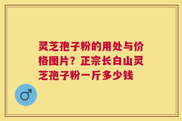 灵芝孢子粉的用处与价格图片?正宗长白山灵芝孢子粉一斤多少钱 灵芝孢子粉的用处与价格图片?正宗长白山灵芝孢子粉一斤多少钱
