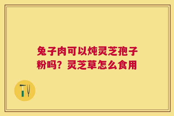 兔子肉可以炖灵芝孢子粉吗？灵芝草怎么食用