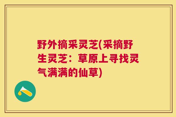 野外摘采灵芝(采摘野生灵芝：草原上寻找灵气满满的仙草)