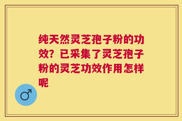 纯天然灵芝孢子粉的功效？已采集了灵芝孢子粉的灵芝功效作用怎样呢