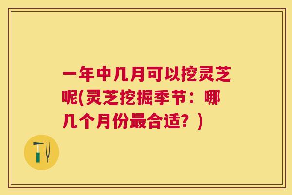 一年中几月可以挖灵芝呢(灵芝挖掘季节：哪几个月份合适？)