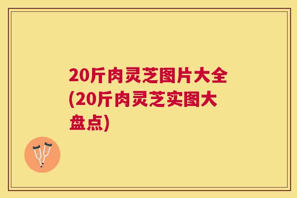 20斤肉灵芝图片大全(20斤肉灵芝实图大盘点) 20斤肉灵芝图片大全(20斤肉灵芝实图大盘点)