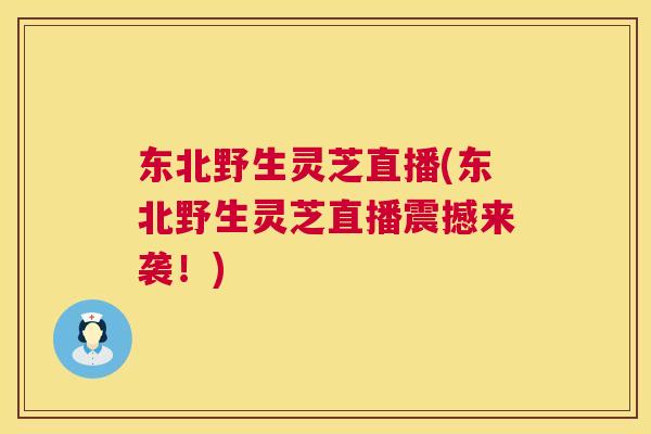 东北野生灵芝直播(东北野生灵芝直播震撼来袭！)