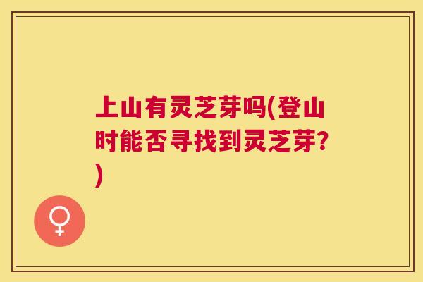 上山有灵芝芽吗(登山时能否寻找到灵芝芽？)