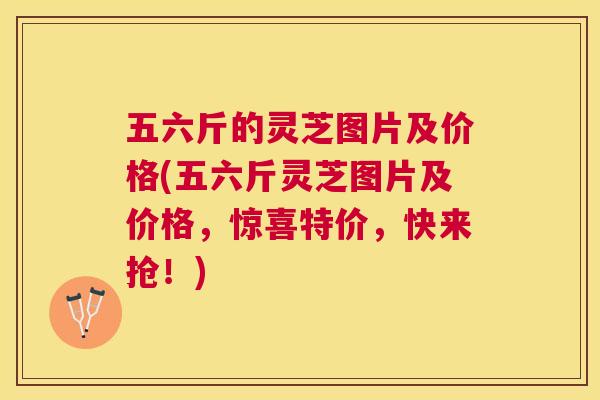 五六斤的灵芝图片及价格(五六斤灵芝图片及价格,惊喜特价,快来抢!) 五六斤的灵芝图片及价格(五六斤灵芝图片及价格,惊喜特价,快来抢!)