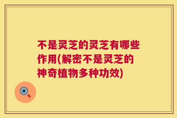 不是灵芝的灵芝有哪些作用(解密不是灵芝的神奇植物多种功效)
