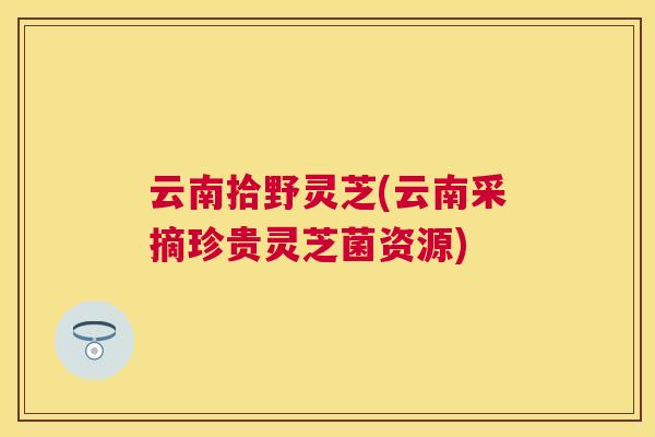 云南拾野灵芝(云南采摘珍贵灵芝菌资源) 云南拾野灵芝(云南采摘珍贵灵芝菌资源)