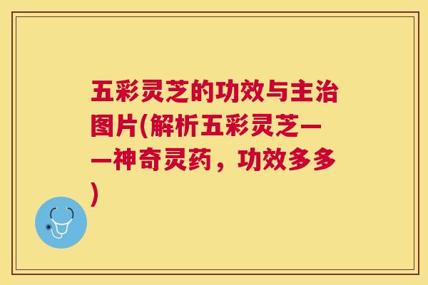 五彩灵芝的功效与主图片(解析五彩灵芝——神奇灵药，功效多多)