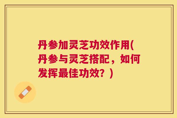 丹参加灵芝功效作用(丹参与灵芝搭配，如何发挥佳功效？)