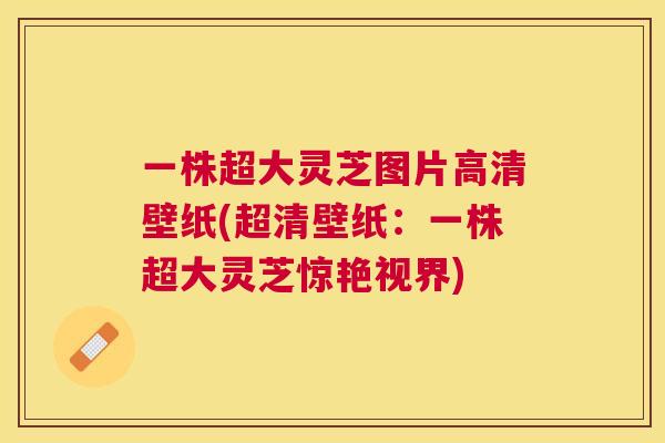 一株超大灵芝图片高清壁纸(超清壁纸:一株超大灵芝惊艳视界) 一株超大灵芝图片高清壁纸(超清壁纸:一株超大灵芝惊艳视界)