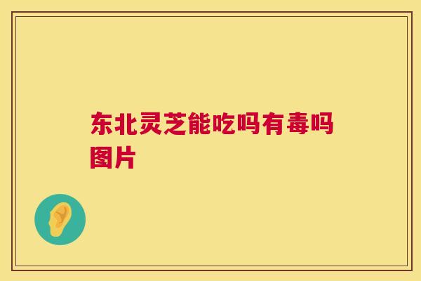 东北灵芝能吃吗有毒吗图片 东北灵芝能吃吗有毒吗图片
