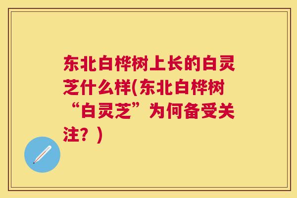东北白桦树上长的白灵芝什么样(东北白桦树“白灵芝”为何备受关注?) 东北白桦树上长的白灵芝什么样(东北白桦树“白灵芝”为何备受关注?)