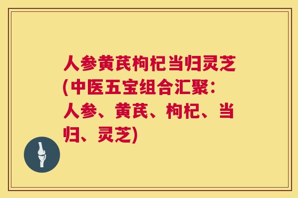人参黄芪枸杞当归灵芝(中医五宝组合汇聚：人参、黄芪、枸杞、当归、灵芝)