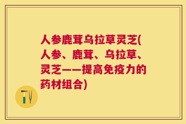 人参鹿茸乌拉草灵芝(人参、鹿茸、乌拉草、灵芝——提高免疫力的药材组合) 人参鹿茸乌拉草灵芝(人参、鹿茸、乌拉草、灵芝——提高免疫力的药材组合)