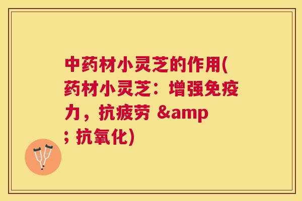 材小灵芝的作用(药材小灵芝：增强免疫力， & )
