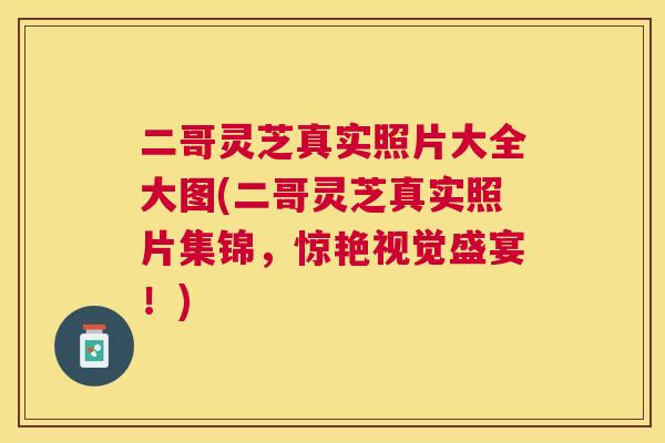 二哥灵芝真实照片大全大图(二哥灵芝真实照片集锦，惊艳视觉盛宴！)