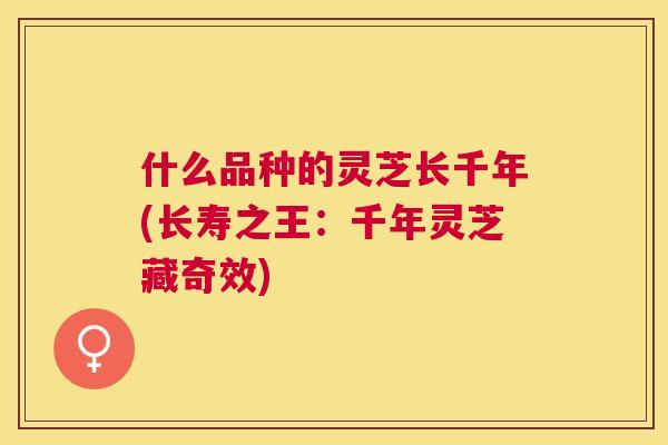 什么品种的灵芝长千年(长寿之王:千年灵芝藏奇效) 什么品种的灵芝长千年(长寿之王:千年灵芝藏奇效)