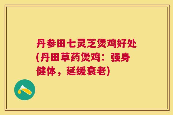 丹参田七灵芝煲鸡好处(丹田草药煲鸡：强身健体，延缓)
