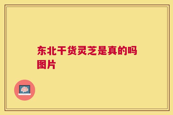 东北干货灵芝是真的吗图片