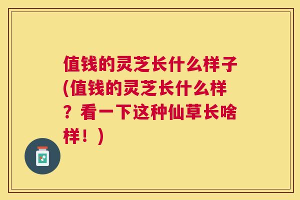 值钱的灵芝长什么样子(值钱的灵芝长什么样?看一下这种仙草长啥样!) 值钱的灵芝长什么样子(值钱的灵芝长什么样?看一下这种仙草长啥样!)