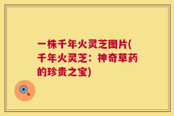 一株千年火灵芝图片(千年火灵芝：神奇草药的珍贵之宝)