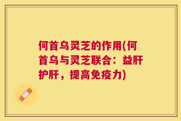 何首乌灵芝的作用(何首乌与灵芝联合：益，提高免疫力)