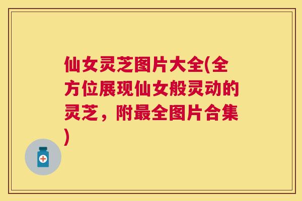 仙女灵芝图片大全(全方位展现仙女般灵动的灵芝，附全图片合集)