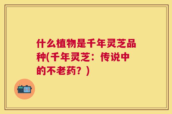 什么植物是千年灵芝品种(千年灵芝:传说中的不老药?) 什么植物是千年灵芝品种(千年灵芝:传说中的不老药?)