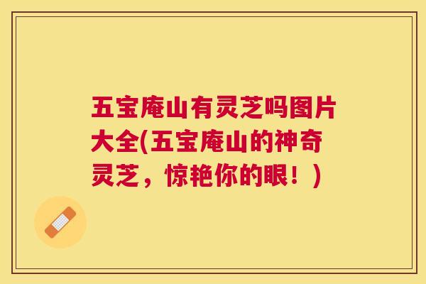 五宝庵山有灵芝吗图片大全(五宝庵山的神奇灵芝,惊艳你的眼!) 五宝庵山有灵芝吗图片大全(五宝庵山的神奇灵芝,惊艳你的眼!)