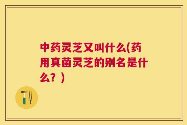 灵芝又叫什么(药用真菌灵芝的别名是什么?) 灵芝又叫什么(药用真菌灵芝的别名是什么?)