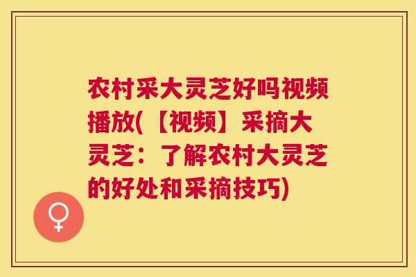 农村采大灵芝好吗视频播放(【视频】采摘大灵芝：了解农村大灵芝的好处和采摘技巧)