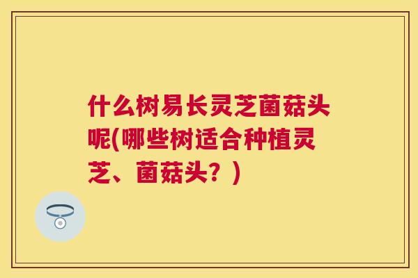 什么树易长灵芝菌菇头呢(哪些树适合种植灵芝、菌菇头?) 什么树易长灵芝菌菇头呢(哪些树适合种植灵芝、菌菇头?)