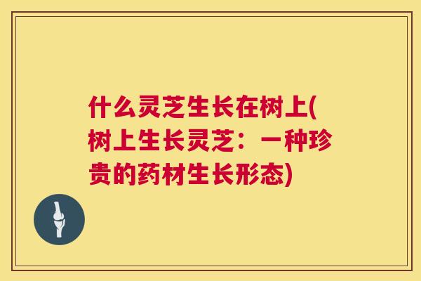 什么灵芝生长在树上(树上生长灵芝:一种珍贵的药材生长形态) 什么灵芝生长在树上(树上生长灵芝:一种珍贵的药材生长形态)