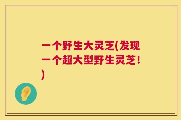 一个野生大灵芝(发现一个超大型野生灵芝！)