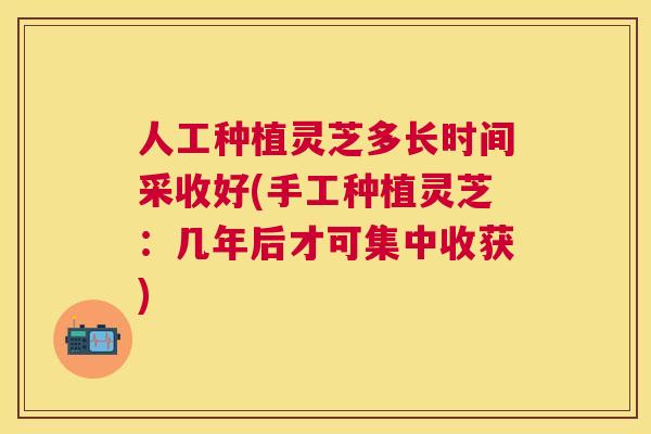 人工种植灵芝多长时间采收好(手工种植灵芝：几年后才可集中收获)