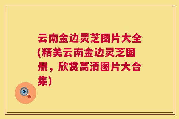云南金边灵芝图片大全(精美云南金边灵芝图册,欣赏高清图片大合集) 云南金边灵芝图片大全(精美云南金边灵芝图册,欣赏高清图片大合集)