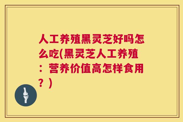 人工养殖黑灵芝好吗怎么吃(黑灵芝人工养殖:营养价值高怎样食用?) 人工养殖黑灵芝好吗怎么吃(黑灵芝人工养殖:营养价值高怎样食用?)