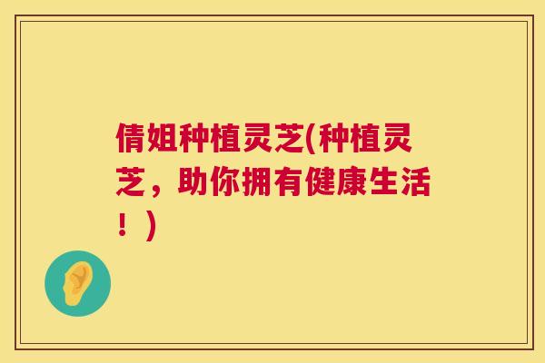 倩姐种植灵芝(种植灵芝,助你拥有健康生活!) 倩姐种植灵芝(种植灵芝,助你拥有健康生活!)