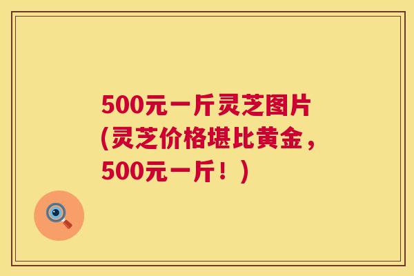 500元一斤灵芝图片(灵芝价格堪比黄金，500元一斤！)