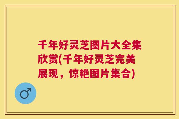 千年好灵芝图片大全集欣赏(千年好灵芝完美展现,惊艳图片集合) 千年好灵芝图片大全集欣赏(千年好灵芝完美展现,惊艳图片集合)