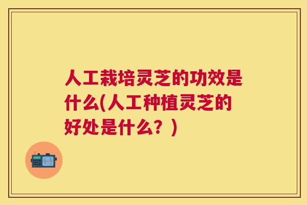人工栽培灵芝的功效是什么(人工种植灵芝的好处是什么?) 人工栽培灵芝的功效是什么(人工种植灵芝的好处是什么?)