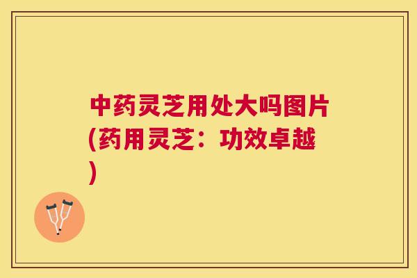 灵芝用处大吗图片(药用灵芝：功效卓越)