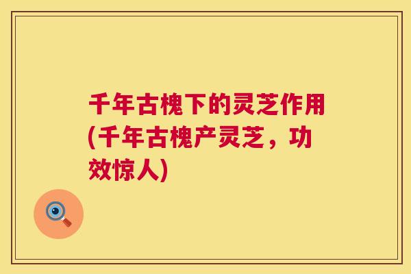 千年古槐下的灵芝作用(千年古槐产灵芝，功效惊人)