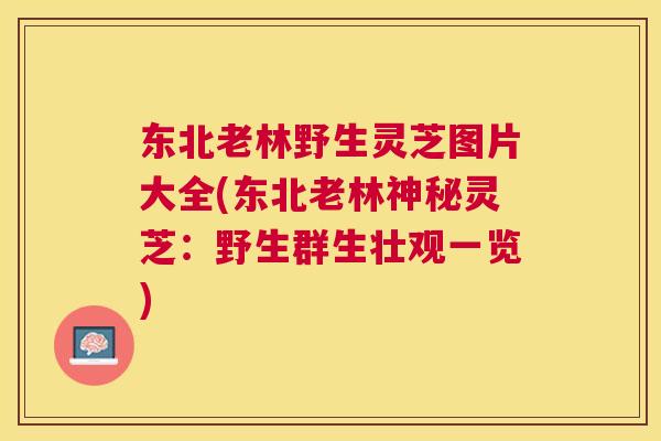 东北老林野生灵芝图片大全(东北老林神秘灵芝：野生群生壮观一览)
