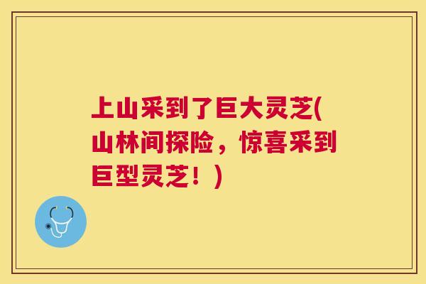 上山采到了巨大灵芝(山林间探险,惊喜采到巨型灵芝!) 上山采到了巨大灵芝(山林间探险,惊喜采到巨型灵芝!)