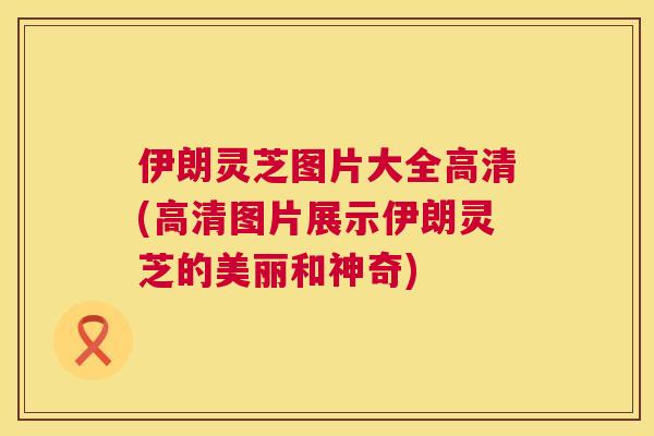 伊朗灵芝图片大全高清(高清图片展示伊朗灵芝的美丽和神奇) 伊朗灵芝图片大全高清(高清图片展示伊朗灵芝的美丽和神奇)