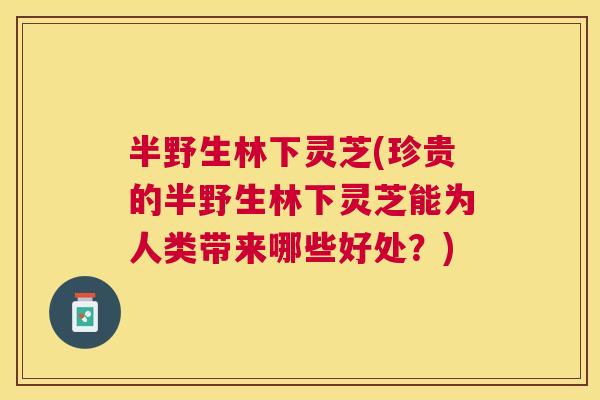 半野生林下灵芝(珍贵的半野生林下灵芝能为人类带来哪些好处？)