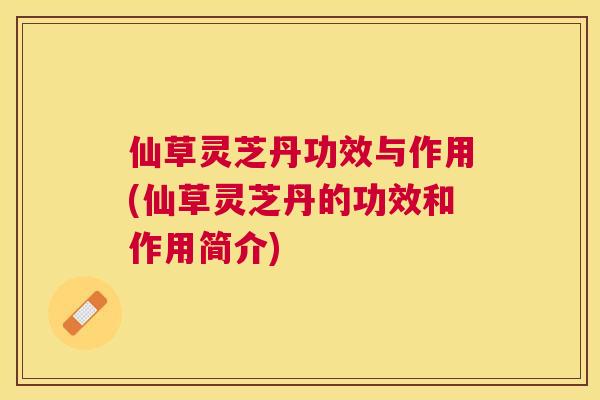 仙草灵芝丹功效与作用(仙草灵芝丹的功效和作用简介)