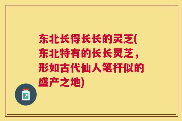 东北长得长长的灵芝(东北特有的长长灵芝,形如古代仙人笔杆似的盛产之地) 东北长得长长的灵芝(东北特有的长长灵芝,形如古代仙人笔杆似的盛产之地)