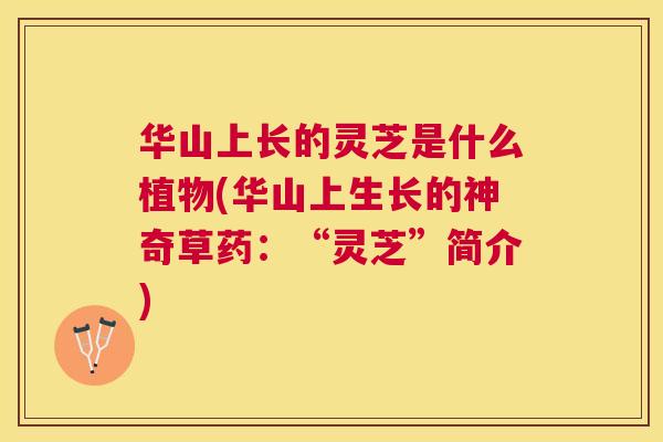 华山上长的灵芝是什么植物(华山上生长的神奇草药:“灵芝”简介) 华山上长的灵芝是什么植物(华山上生长的神奇草药:“灵芝”简介)